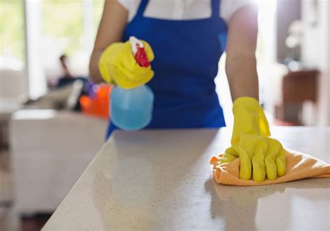 How To Keep Your Kitchen Pest Free Tips And Ideas Decoist