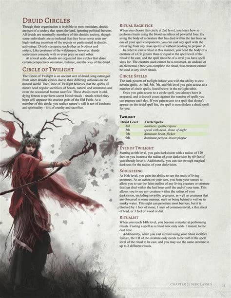 Circle Of Twilight Druid By Jonoman3000 With Images Dungeons And