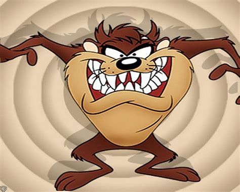 Hd Wallpaper Tv Show Looney Tunes Tasmanian Devil Looney Tunes