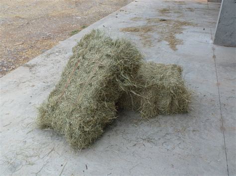 How To Lay Hay In The Winter To Grow Grass Cherokee Feed And Seed