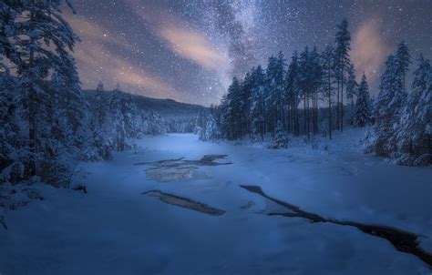 Wallpaper Winter Stars Snow Trees Night Nature Images For Desktop