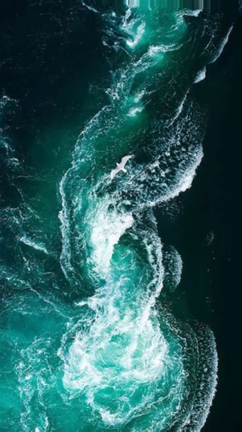 Green Wave Ocean Sea Motion Design Art Video Editing Ios