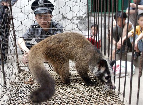China Bans Wildlife Trade Over Coronavirus Outbreak The Washington Post