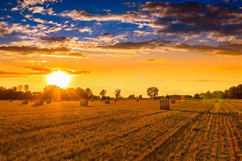 Sunset Field Tree Hay Bale Made Hdr Stock Photos Free And Royalty Free