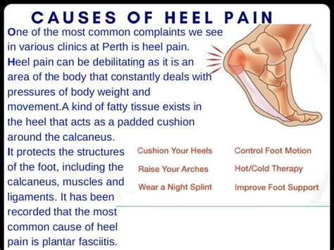 Causes Of Heel Pain