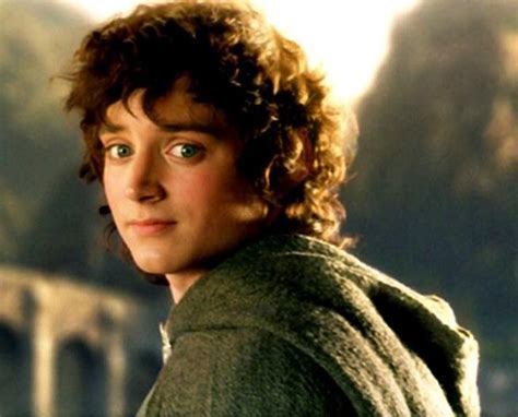 Frodo Baggins Śródziemie Fan Wiki Fandom