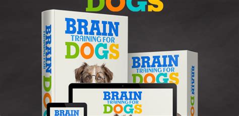 Brain Training 4 Dogs Review