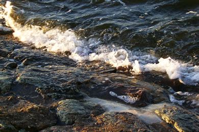 Das wort streicheleinheit klingt ziemlich technisch. Streicheleinheiten - gedankenfreier Fall