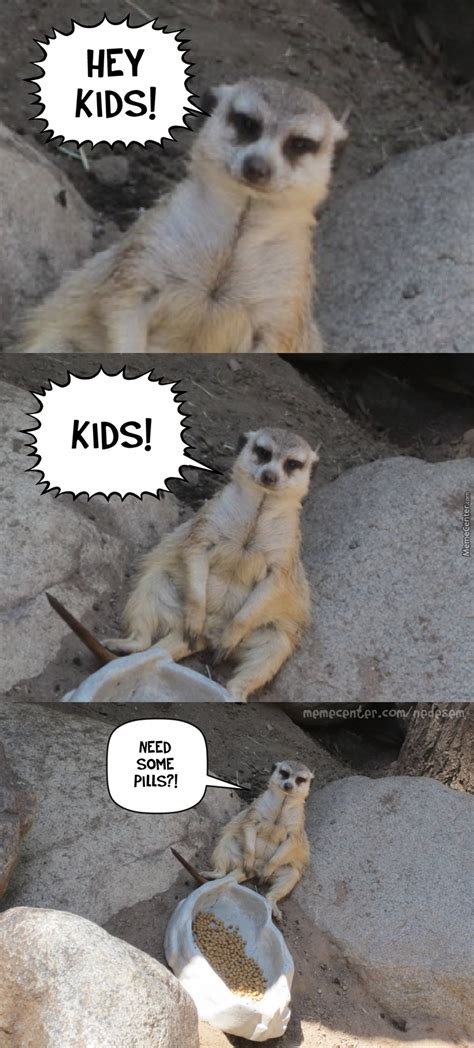 19 Hilarious Mongoose Meme That You Never Seen Before