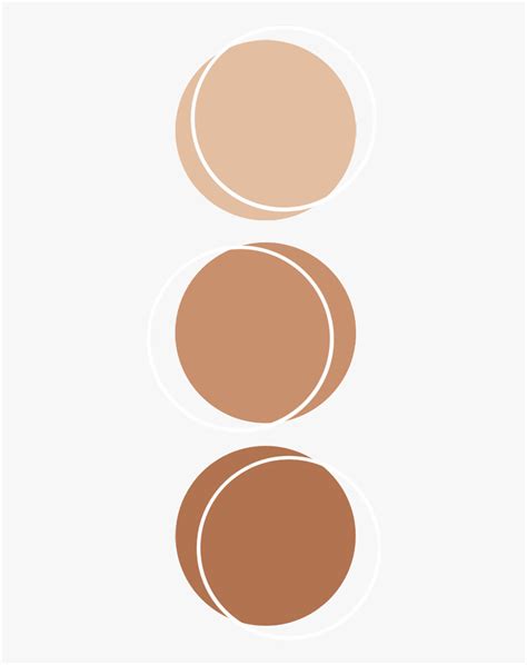 Aesthetic Color Palette Circle Png Mylifewerkad