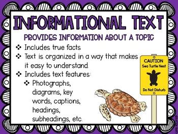 Genre Posters Literature And Informational Text TPT