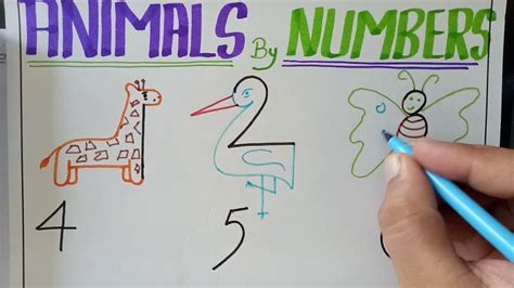 Animals By Numbers Youtube