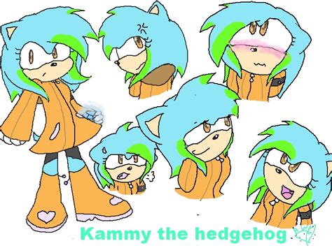 Kammy The Hedgehog Sonic Girl Fan Characters Fan Art 27079086