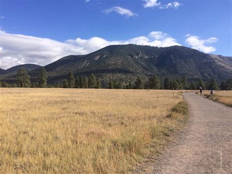 Buffalo Park Flagstaff Updated 2020 All You Need To Know Before You