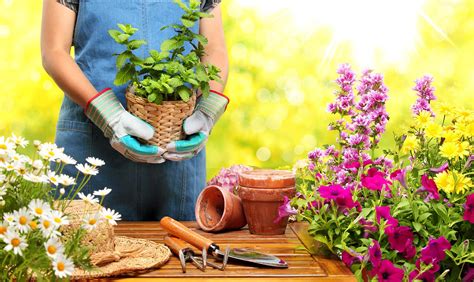 Consejos Básicos Para Cuidar Tu Jardín Tot Verd