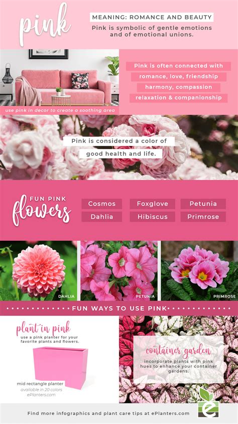 Color Psychology Using Pink To Change The Mood Of Your Landscape Designs