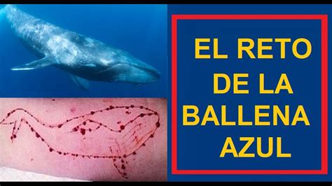 El Reto De La Ballena Azul Un Juego Que Acaba Con El Suicidio Youtube