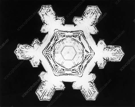 Snowflake Stock Image C0285023 Science Photo Library
