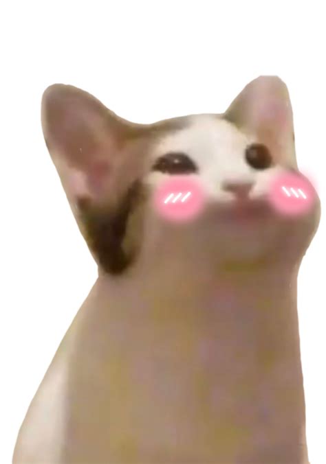 Popcat Shy Discord Emoji