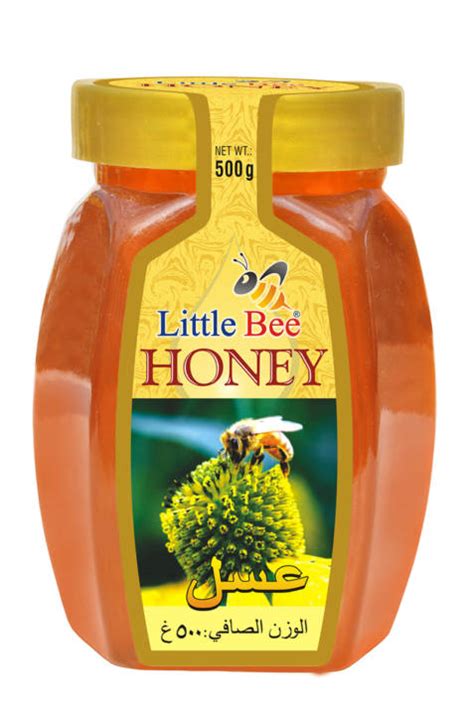 10 Best Pure And Organic Honey Brands To Buy In India 2023