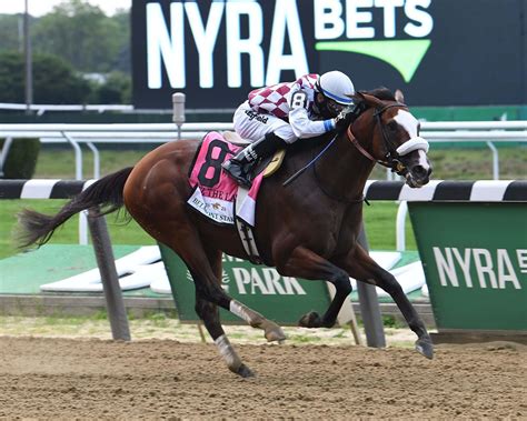 There have been several well known, notable racers and famous horse riders and their stories have captured the hearts of millions. Belmont Stakes Win by Tiz the Law is One for the Aged ...
