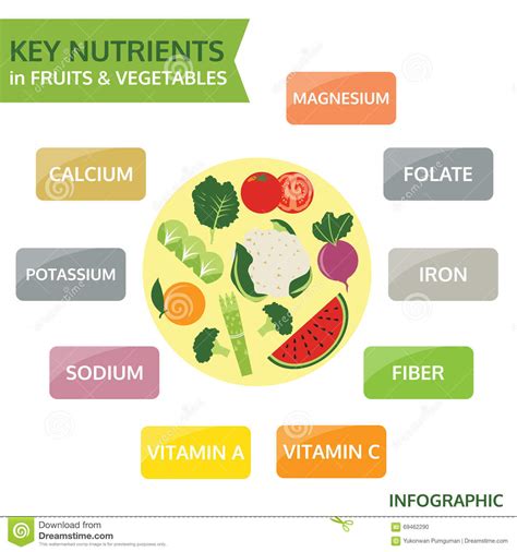 Key Nutrients In Fruits And Vegetables Vector