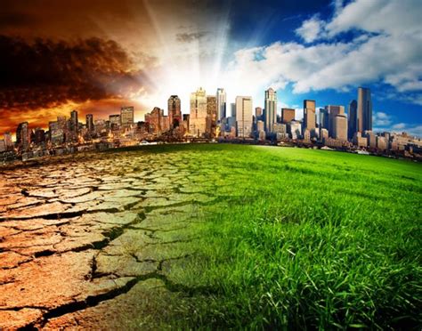 Esto es, el aumento general de la temperatura en el planeta, y que se produce por las emisiones tóxicas que el ser. Cambio climático. Éstas sus consecuencias: más de 500.000 ...