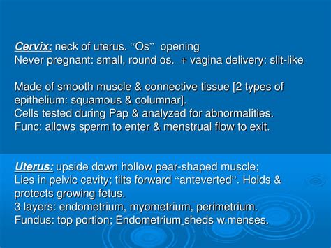 Ppt Female Genitourinary System Powerpoint Presentation Free