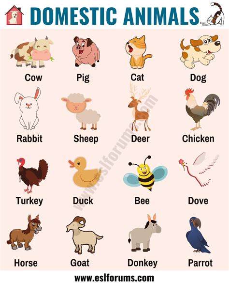 Farm Animals List Of 15 Popular Farm Domestic Animals In English Artofit