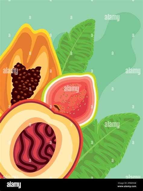 Tropical Fruits Exotics Stock Vector Image And Art Alamy