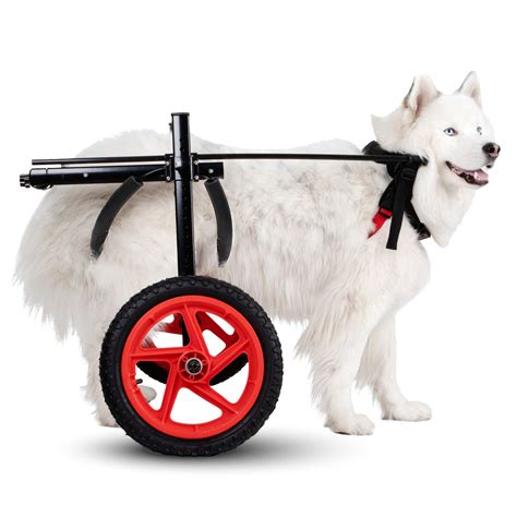 Buy Best Friend Mobility Pro Dog Wheelchair For Back Legs Dog Cart Is