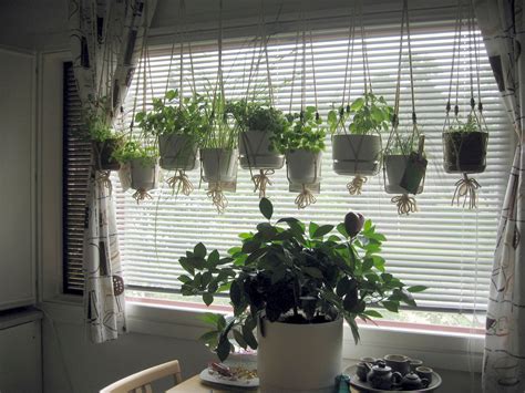 10 Kitchen Window Garden Ideas Amazing As Well As Stunning Window