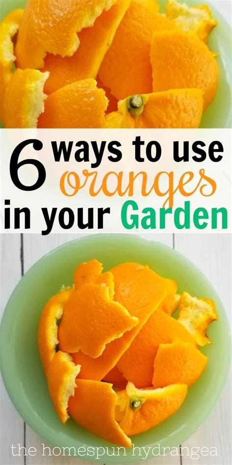 Ways To Use Orange Peels In Your Garden The Homespun Hydrangea