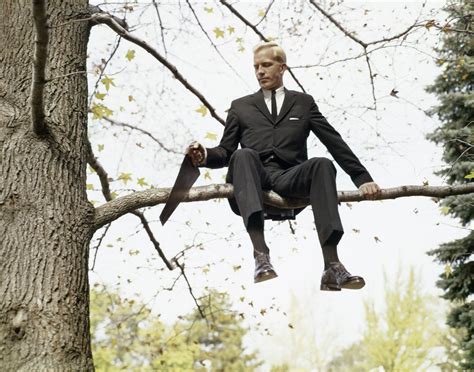 1960s Man In Tree Sawing Off The Branch He Is Sitting On Posters