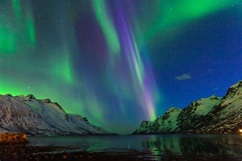 Tromso And Arctic Dome Experience Norway Regent Holidays