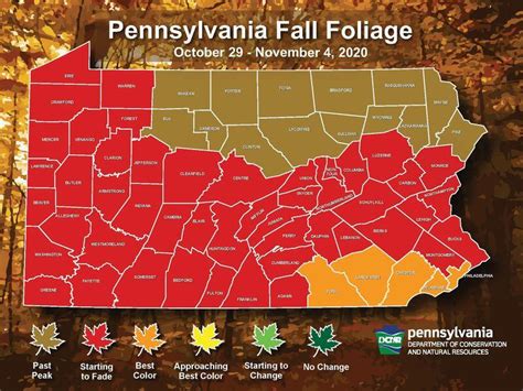 Storm Brings An End To Fall Foliage Season And Pennsylvanias Weekly