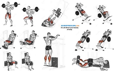 Best Leg Exercises That Will Give You Awesome Looking Quads And Calves