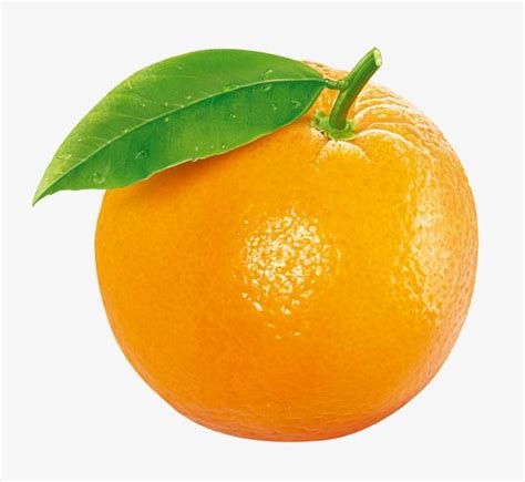 Orange Fruit Png Images Orange Clipart Fruit Clipart Orange Png
