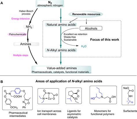 Direct N Alkylation Of Unprotected Amino Acids With Alcohols Science