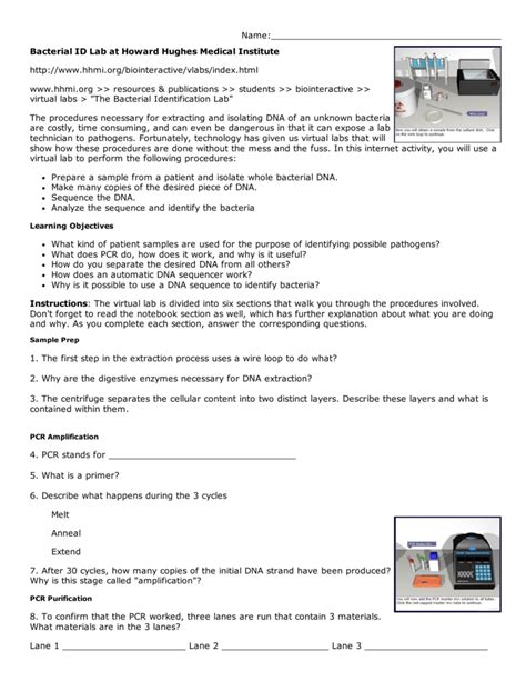 Mutation virtual lab worksheet answers / dna and genes lab worksheet : 30 Bacterial Identification Lab Worksheet Answers ...