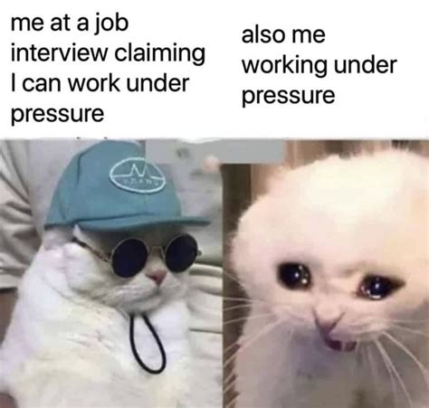 Under Pressure Cats Know Your Meme