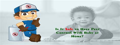 The charges of herbal pest control in faridabad could be slightly high but it would be worth paying. Rat Control Services In Hyderabad | Quality Service & Best ...
