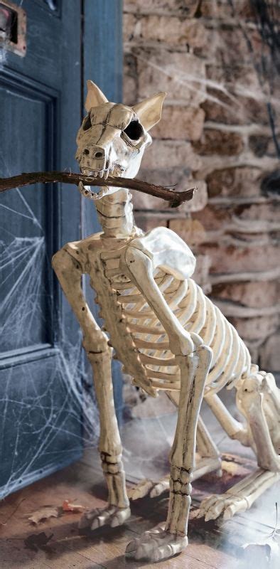 Observational drawing base of a dog skeleton,created using pencils. Spike the Skeleton Dog | Grandin Road | Dog skeleton ...