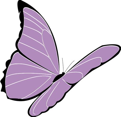 Download Butterfly Purple Violet Royalty Free Vector Graphic Pixabay