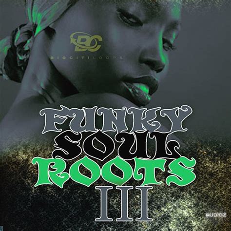 Req Big Citi Loops Funky Soul Roots 3 Audioz