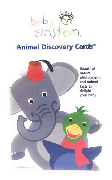 Baby Einstein Animal Discovery Cards Beautiful Nature Photographs And