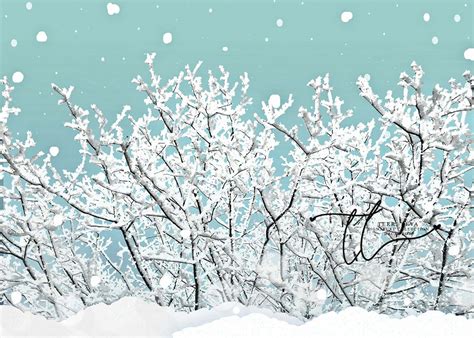 Frosty Winter ~ Backdrops Canada
