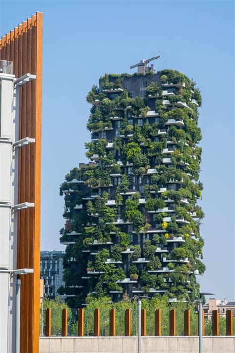 Vertical Forest Editorial Photo Image Of Green Trees 164461936