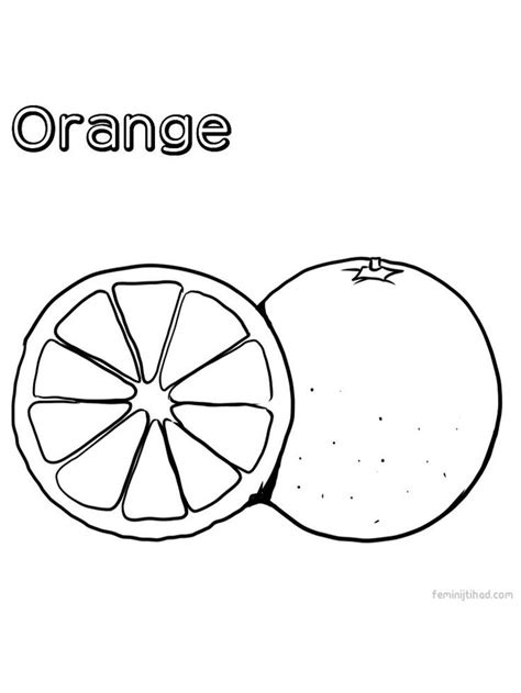 Free Printable Coloring Pages Of Oranges Jaylynnteosborn