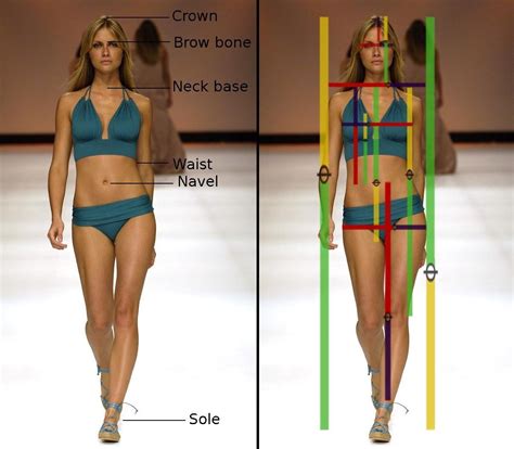 Nonverbal Codes What Is Beauty The Golden Ratio